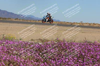 media/Feb-10-2023-2WTD (Fri) [[a356e03532]]/B Group/Session 5 (Turn 15 Blooming)/